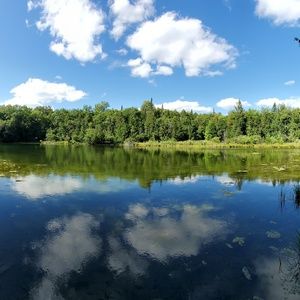 Meet your Posher, Adam